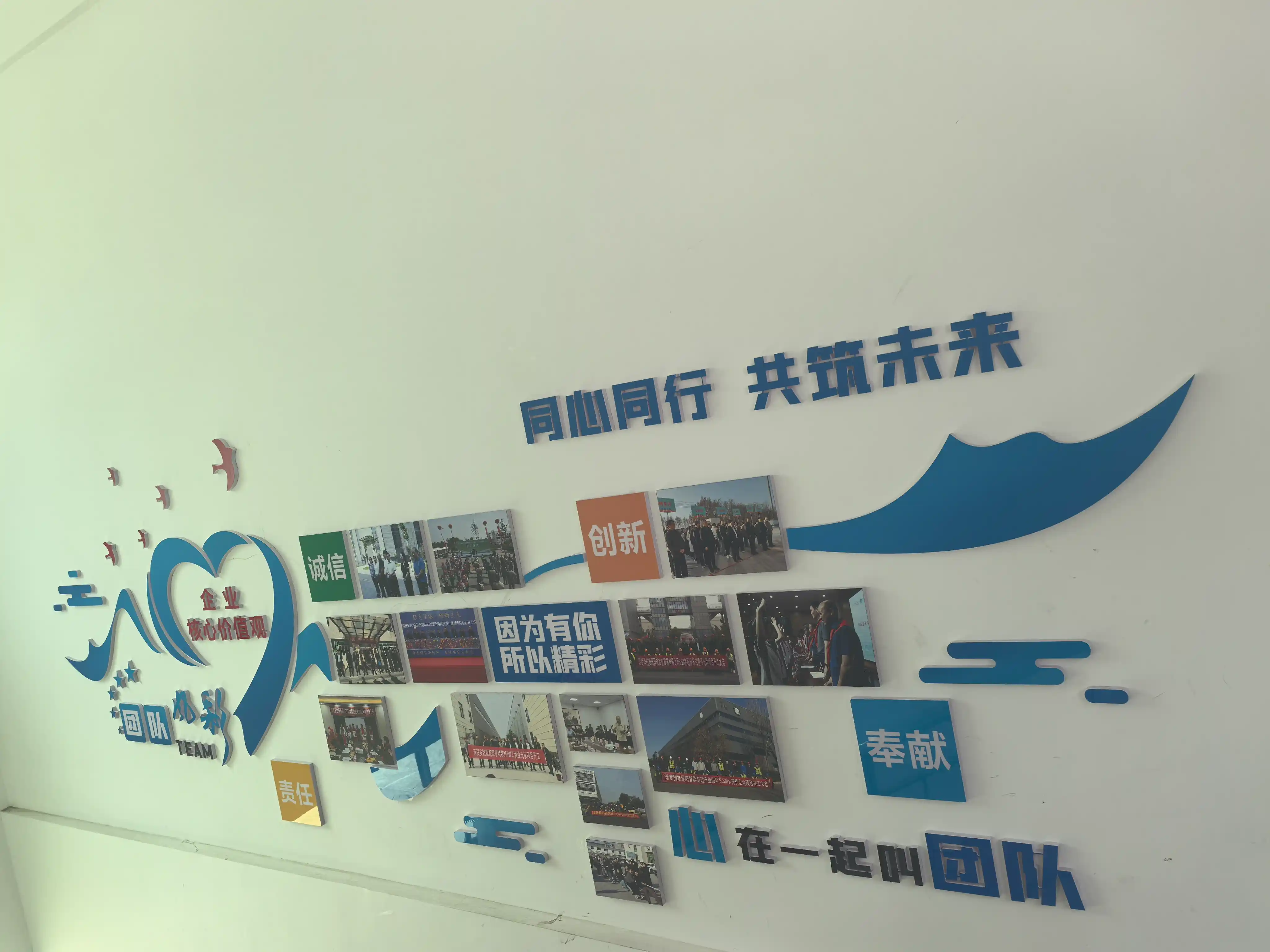 企业核心价值观与团队文化展示墙